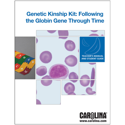 Genetic Kinship Following The Globin Genes Through Time 8 Station Kit Voucher 1