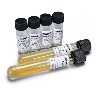 Introductory Bacterial Conjugation Kit Refill