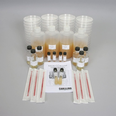 Introductory Bacterial Conjugation Kit With Perishables