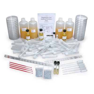 Transduction Of An Antibiotic Resistance Gene Kit Perishables Refill 1