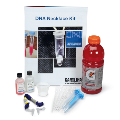 Dna Necklace Demonstration Kit 1