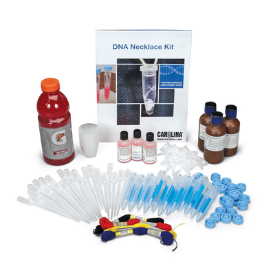 Dna Necklace Classroom Kit 1