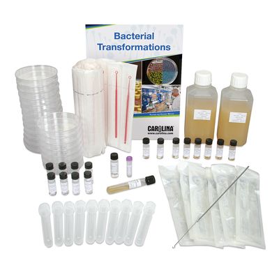 Colony Transformation Teacher Demonstration Kit With Voucher 1