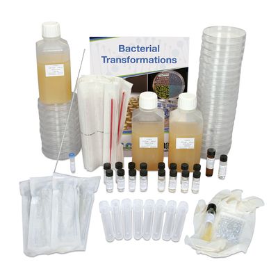 Pblu Colony Transformation Teacher Demonstration Kit With Perishables 1