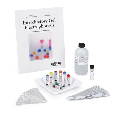 Introductory Gel Electrophoresis 8 Station Student Kit