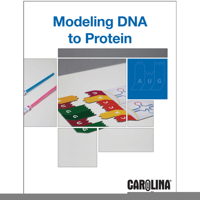 Modeling Dna To Protein 8 Station Kit Voucher 1