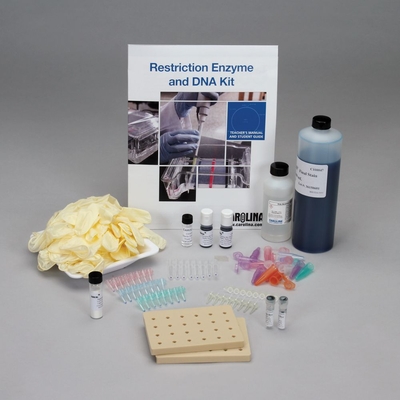 Restriction Enzyme And Dna Kit With Blu