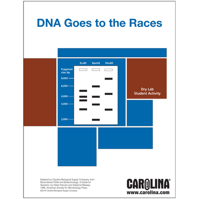 Restriction Enzymes And Dna Digital Resources