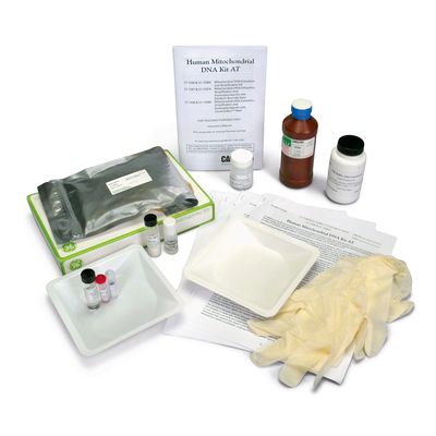 Haplotyping Dna Extraction Amplification And Electrophoresis Kit With 02 Ml Tubes With Voucher 1