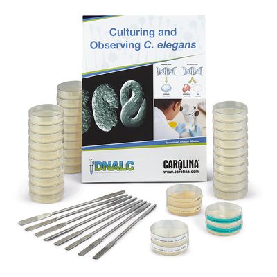 Dnalc Culturing And Observing C Elegans Kit 1