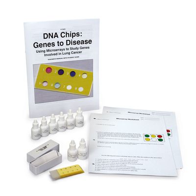 Dna Chips Genes To Disease Kit 1