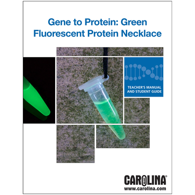 Gene To Protein Green Fluorescent Protein Necklace Kit Voucher 1