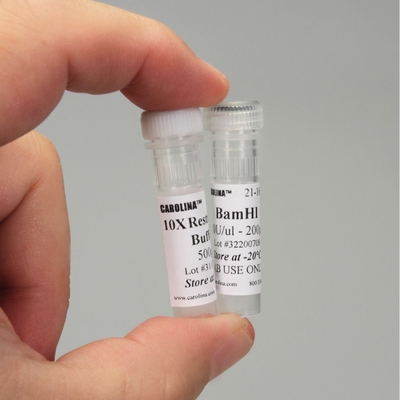 Hindiii Restriction Enzyme 200 Ul 2000 Units