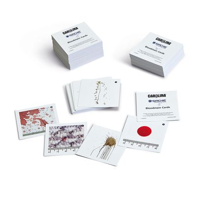 Bloodstain Pattern Analysis Kit 1