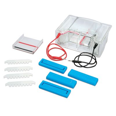 Ng Electrophoresis Chamber