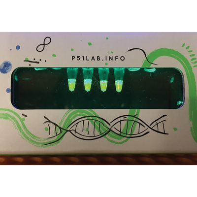 P51 Qpcr Lab Principles Of Quantitative Pcr 2