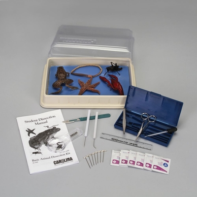 Introduction To Animal Dissection Kit 1