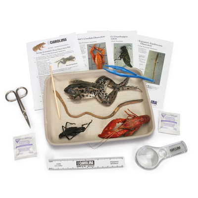 Young Scientists Animal Dissection Kit 1