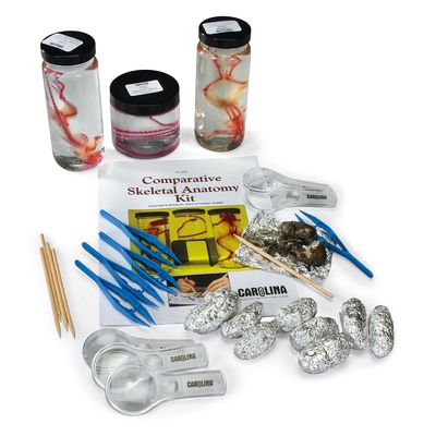 Comparative Skeletal Anatomy Kit 1