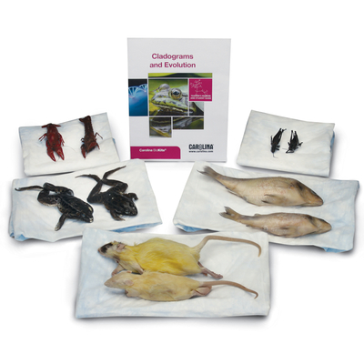 Cladograms And Evolution Kit Voucher 2