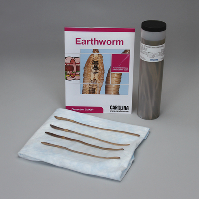 Earthworm Dissection Biokit