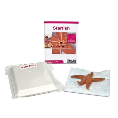 Starfish Dissection Biokit 1