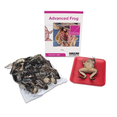 Advanced Frog Dissection Biokit