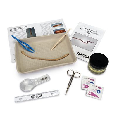 Young Scientist Earthworm Dissection Kit