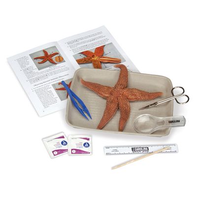 Young Scientists Starfish Dissection Kit