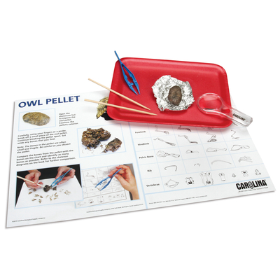 Owl Pellet Explorer Set 1