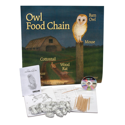 Classroom Owl Pellet Study Set 1