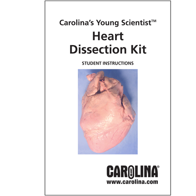 Heart Dissection Digital Resources