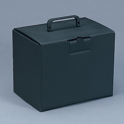 Human Skull Storage Case Black Plastic