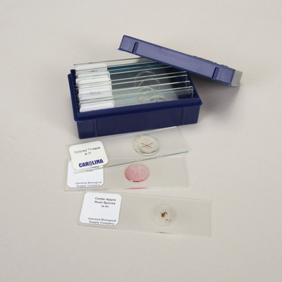 Fun Things Elementary Microscope Slide Set