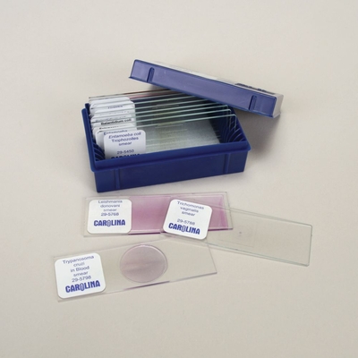 Pathogenic Protozoa Microscope Slide Set