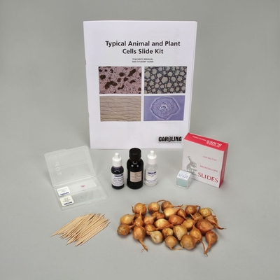 Typical Animal And Plant Cells Slide Kit