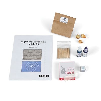 Beginners Introduction To Cells Kit