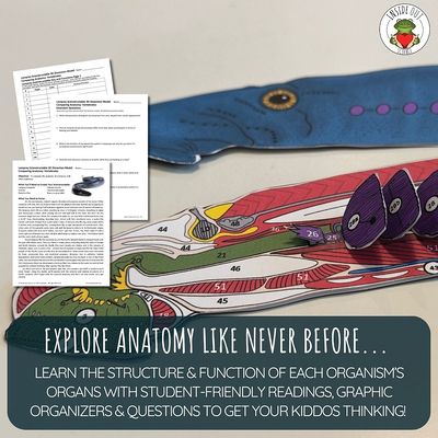 Scienstructable 3D Dissection Model®: Lamprey Paper Dissection ...