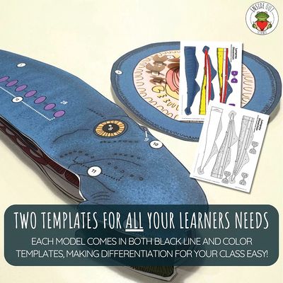 Scienstructable 3D Dissection Model®: Lamprey Paper Dissection ...