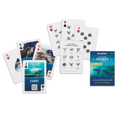 Ocearch Shark Playing Cards 1