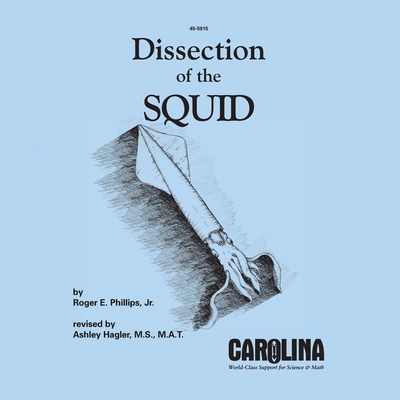 Dissection And Anatomy Of The Squid Guide