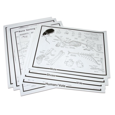 Owl Pellet Chart Set 1