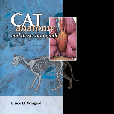 Cat Anatomy And Dissection Guide