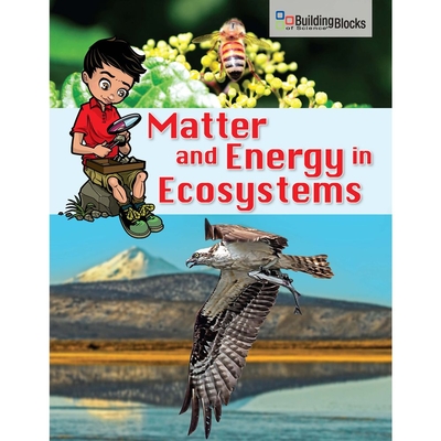 Building Blocks Of Science Literacy Series Matter And Energy In Ecosystems Ebook 30 Student License