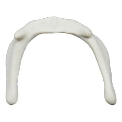 Human Bone Model, Hyoid | Carolina Biological Supply