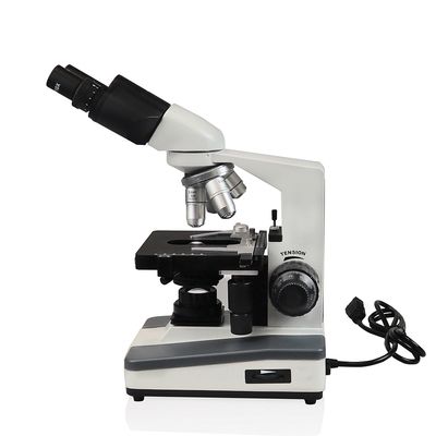 Walter M Series Led Binocular Microscope