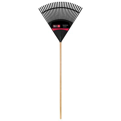 Fan Rake | Carolina Biological Supply