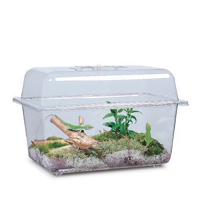 Aquariumterrarium Plastic Without Cover 1 12 Gal