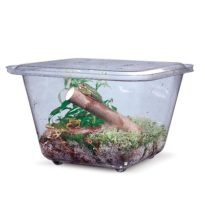 Aquariumterrarium Tank Plastic 12 Gal