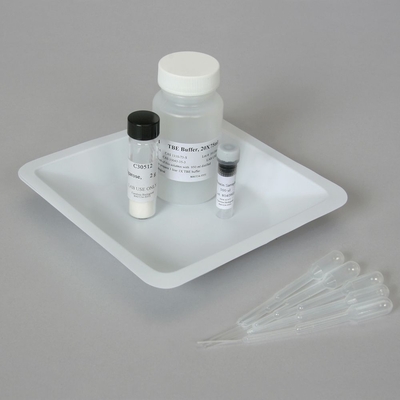 Introductory Electrophoresis Protein Separation Set With Perishables